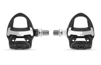 Garmin Rally RS110 (SPD-SL)