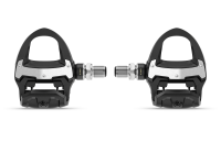 Garmin Rally RS210 (SPD-SL)